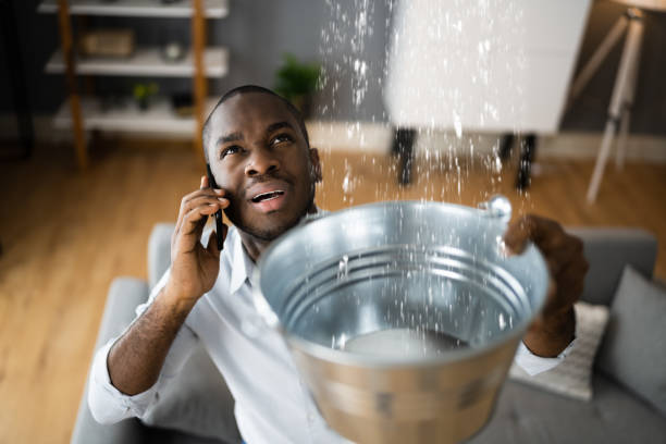 Best Flood restoration services  in Round Lake, IL
