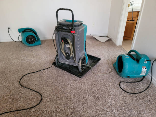 Water damage restoration process in Round Lake, IL