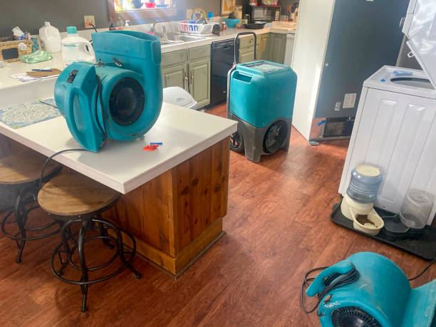 Best Fire Damage Restoration  in Round Lake, IL