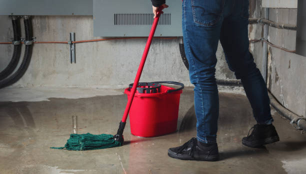 Best Local water damage restoration  in Round Lake, IL