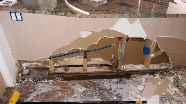 Best 24-hour water damage restoration  in Round Lake, IL