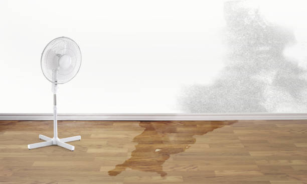 Best Residential water damage restoration  in Round Lake, IL