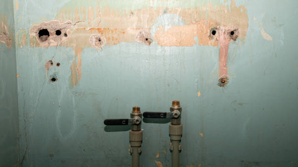 Best Professional water damage repair  in Round Lake, IL