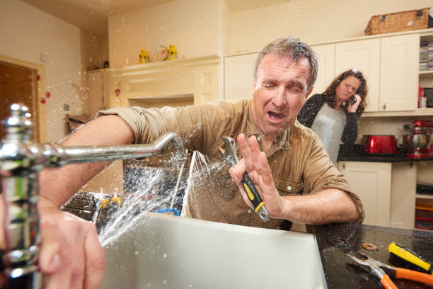 Best Basement water damage restoration  in Round Lake, IL